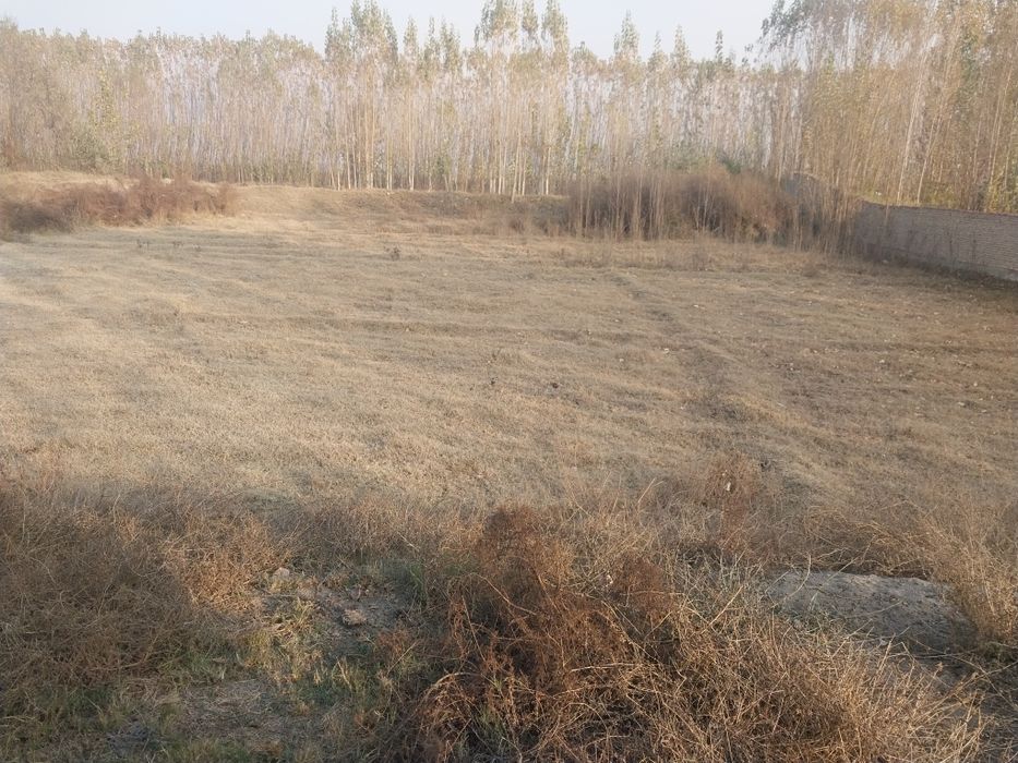 Ulug'nor tumani Fazogir mfy oldingi 4 bo'lim