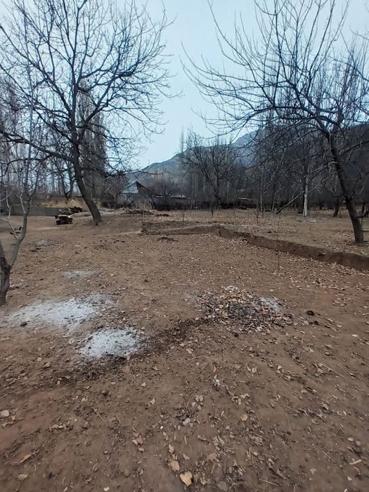 Здравствуйте дорогие друзья я вам обейвляю у меня есть земля каторие в