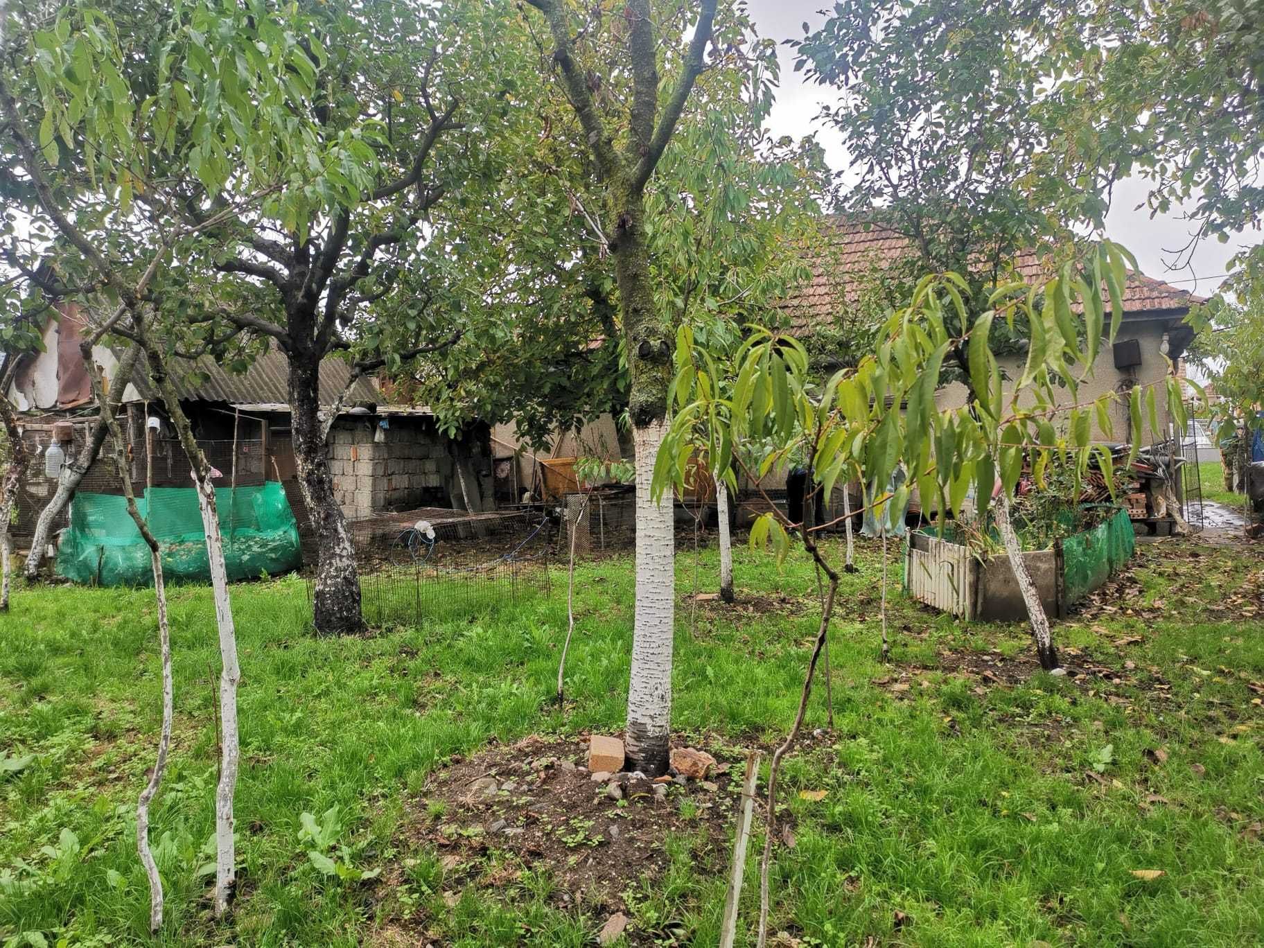 Casa de vanzare Seini