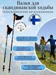 Палки для скандинавской ходьбы