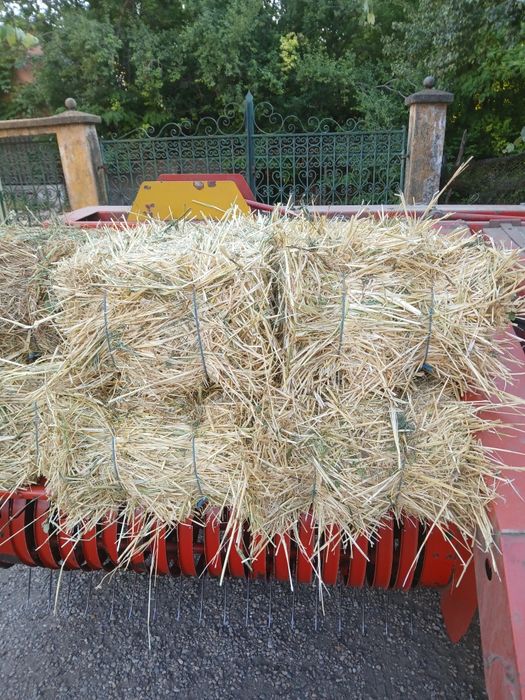 Vând baloți de paie de ovăz