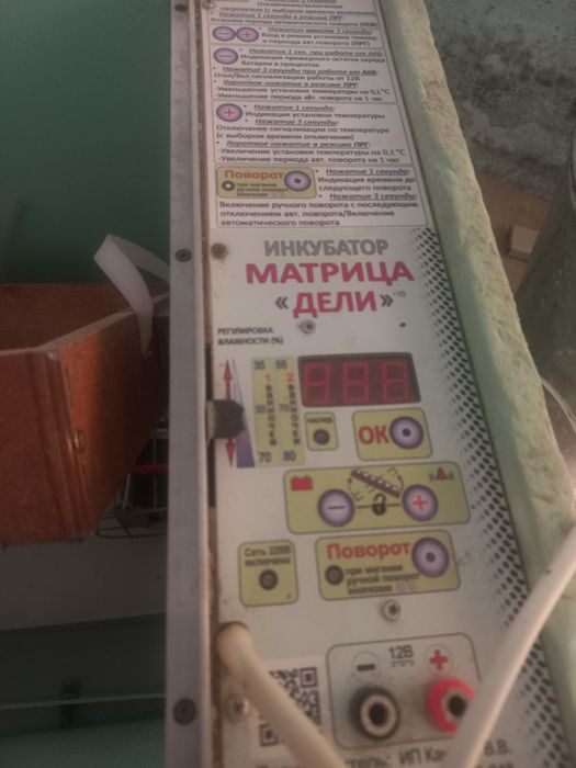 Продается перепела породы феникс и белый техас
