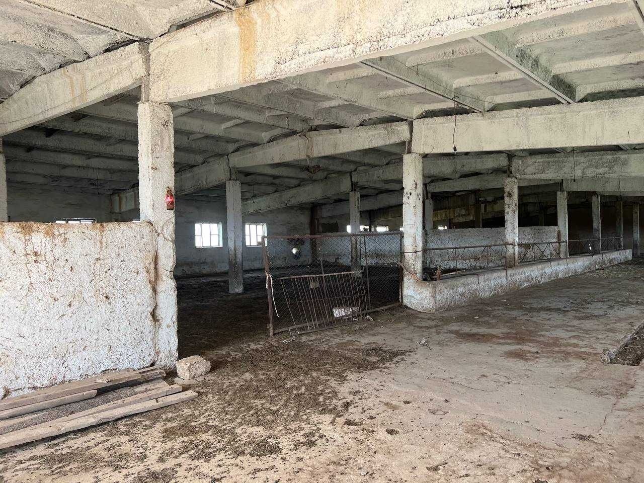 G`uzor tumanida Molxona binosi bo`lib to`lash sharti bilan sotiladi