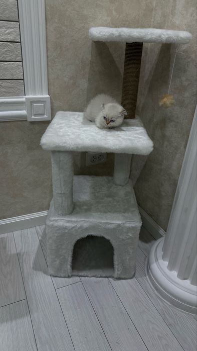 Домик для кошки