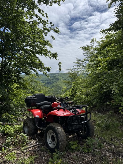 Linhai 300 (Goes Cfmoto Atv 4x4)