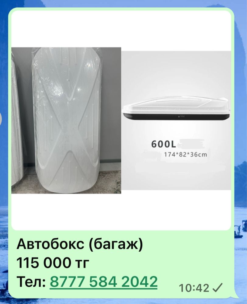 Автобокс ( багаж )