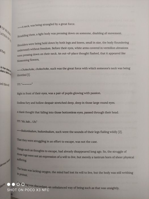 Re:zero if routes light novel