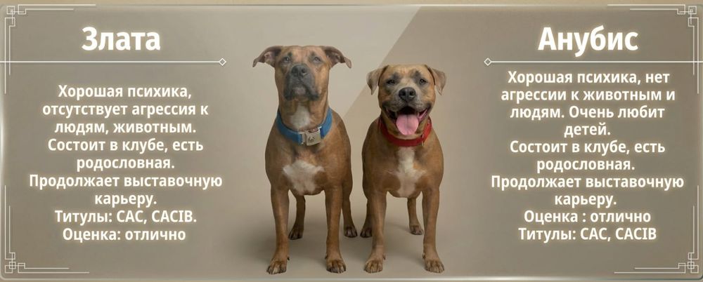 Готовятся к продаже.