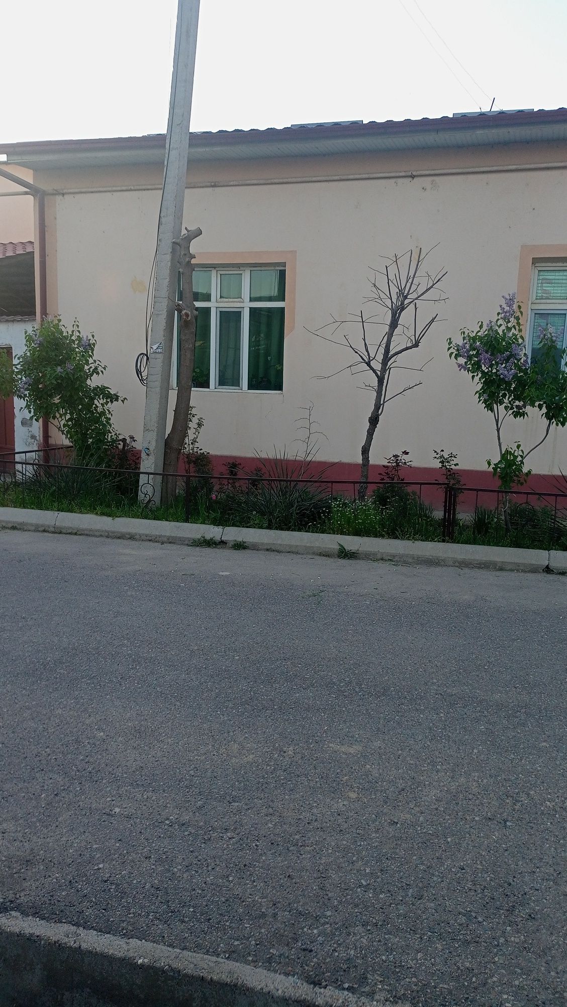 Сурумда уй сотилади