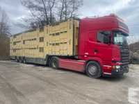 Vand camion transport animale în stare perfecta de functionare