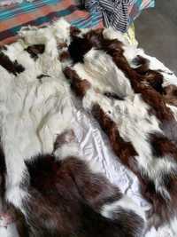 Продавам палто от котка