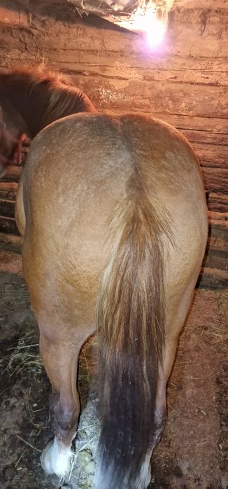 Vand doi manji de 3 si 4 ani