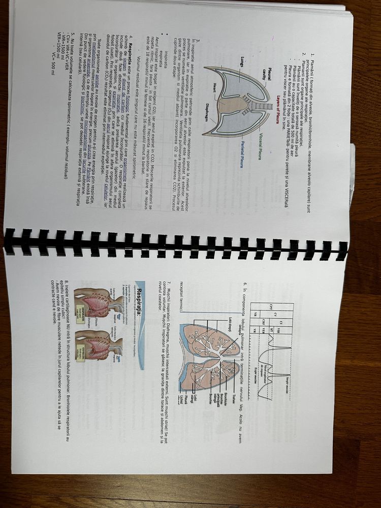Carte biologie - Antreneaza-ti Sinapsele