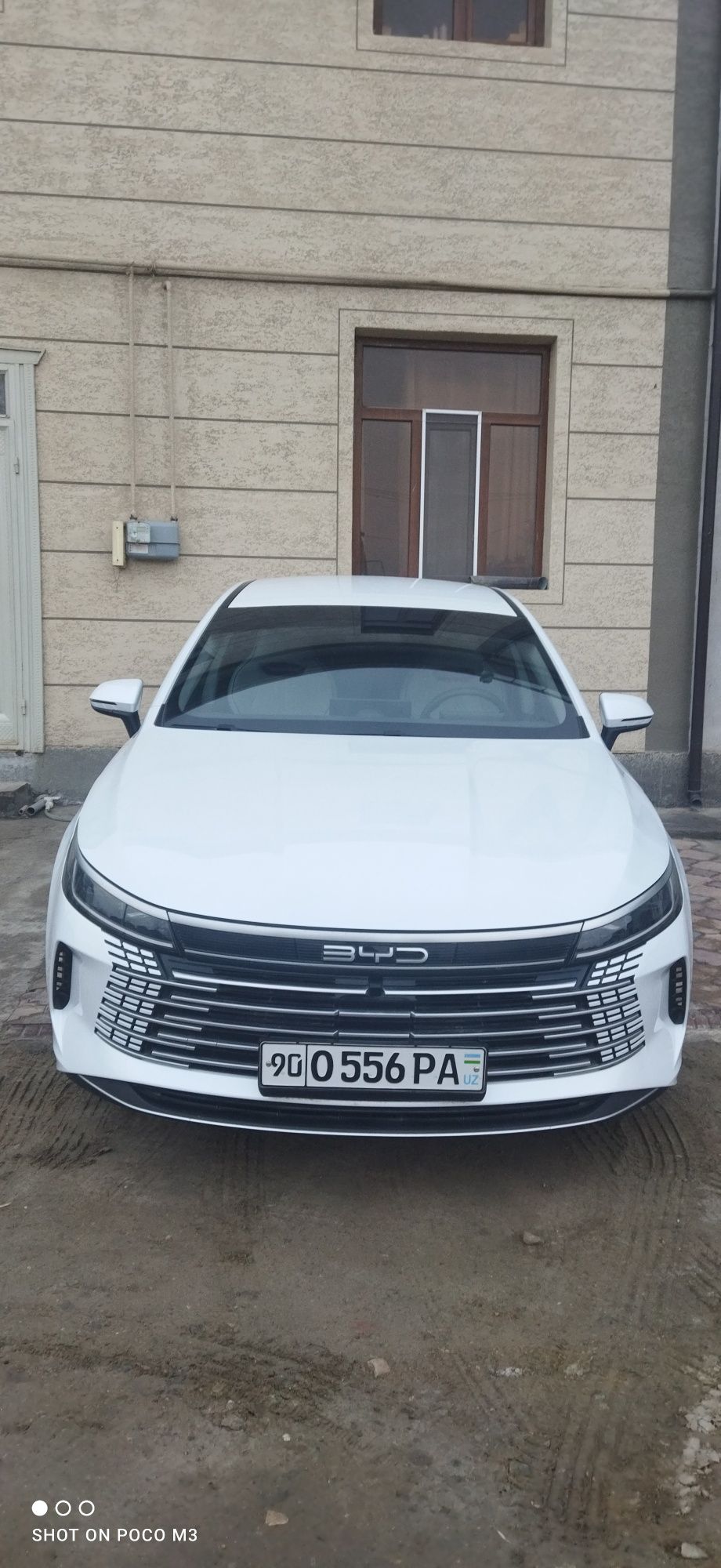 BYD Chazor 2024 oktabr