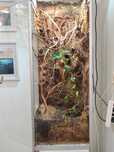 Terariu pt reptile