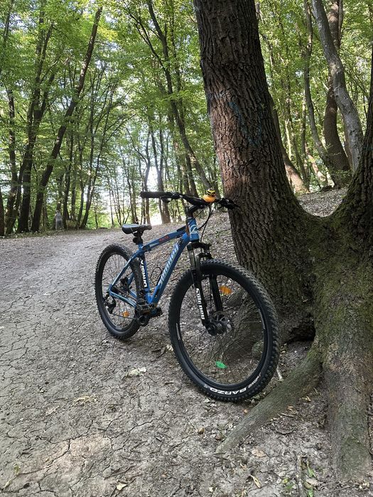Bicicleyă spinney preț 1000 lei negociabil