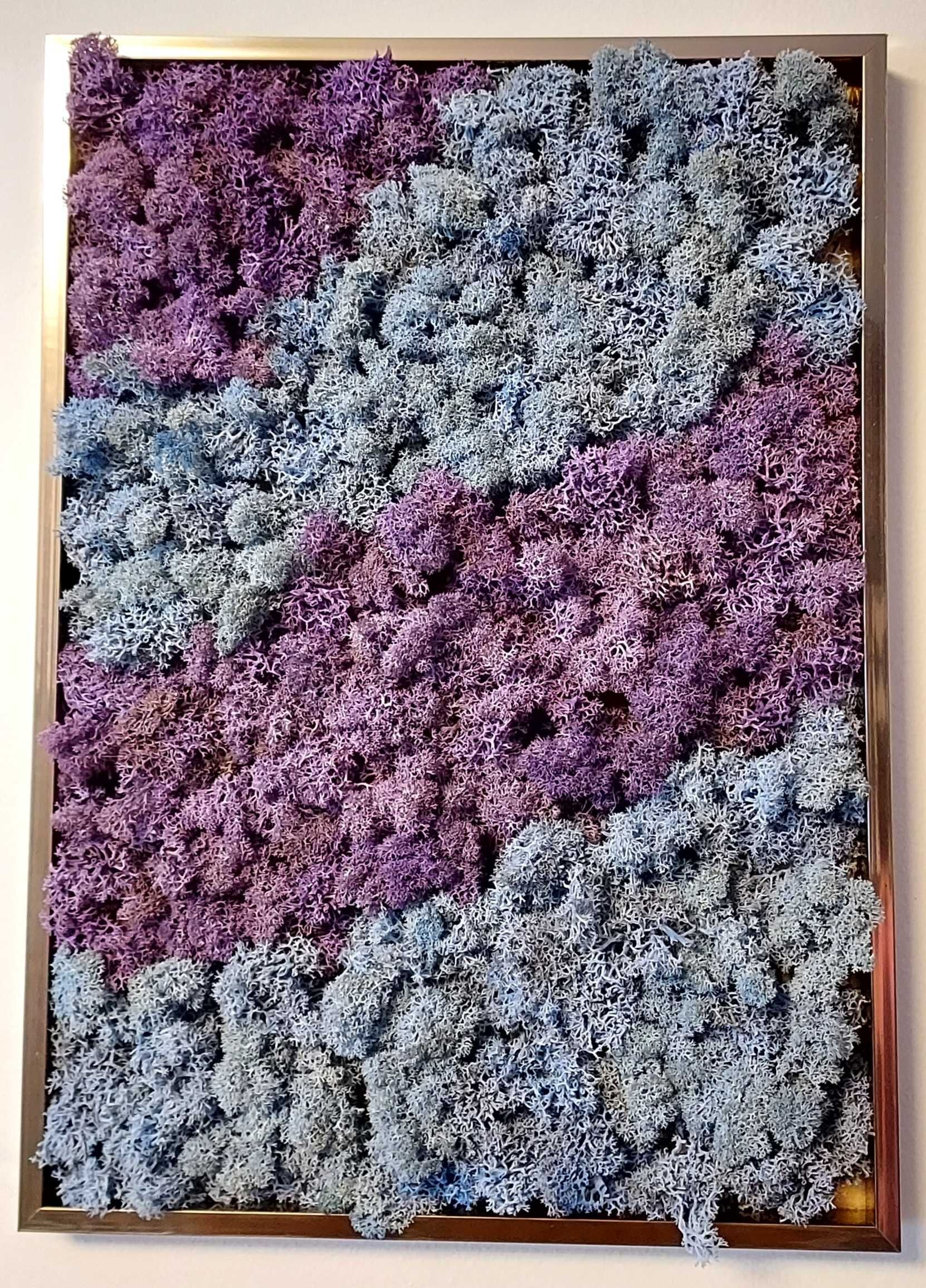 Tablou cu licheni decorativi conservati