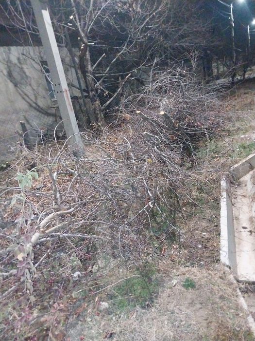 Дрова бесплатно самовывоз