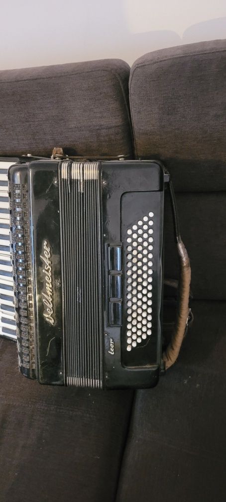 Acordeon weltmeister