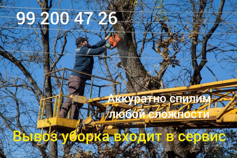 Спил деревьев  любой сложности