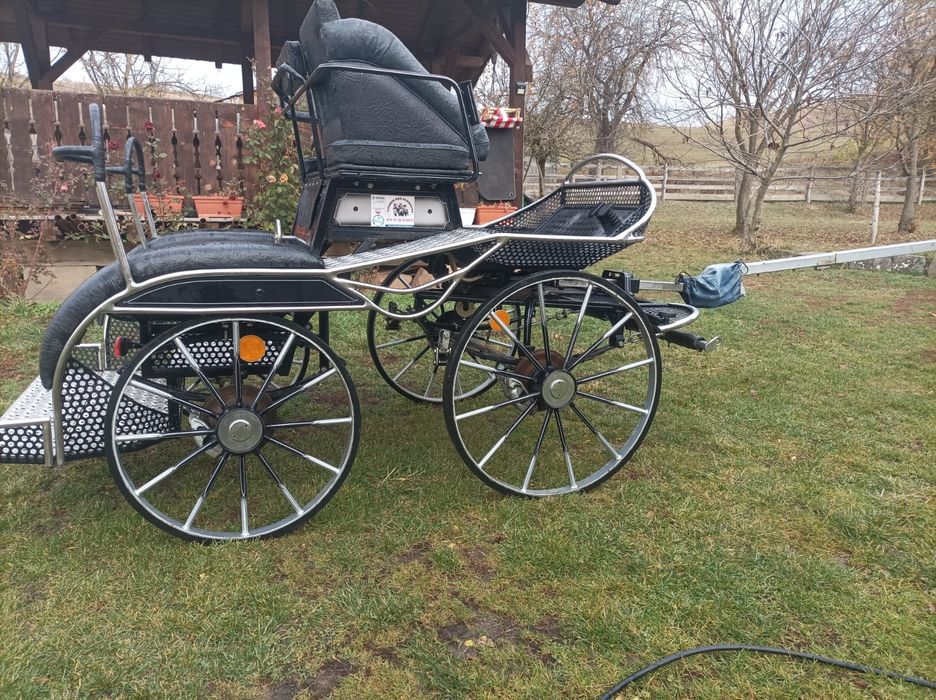 Trasura Maraton Germania