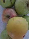 Vand mere culese