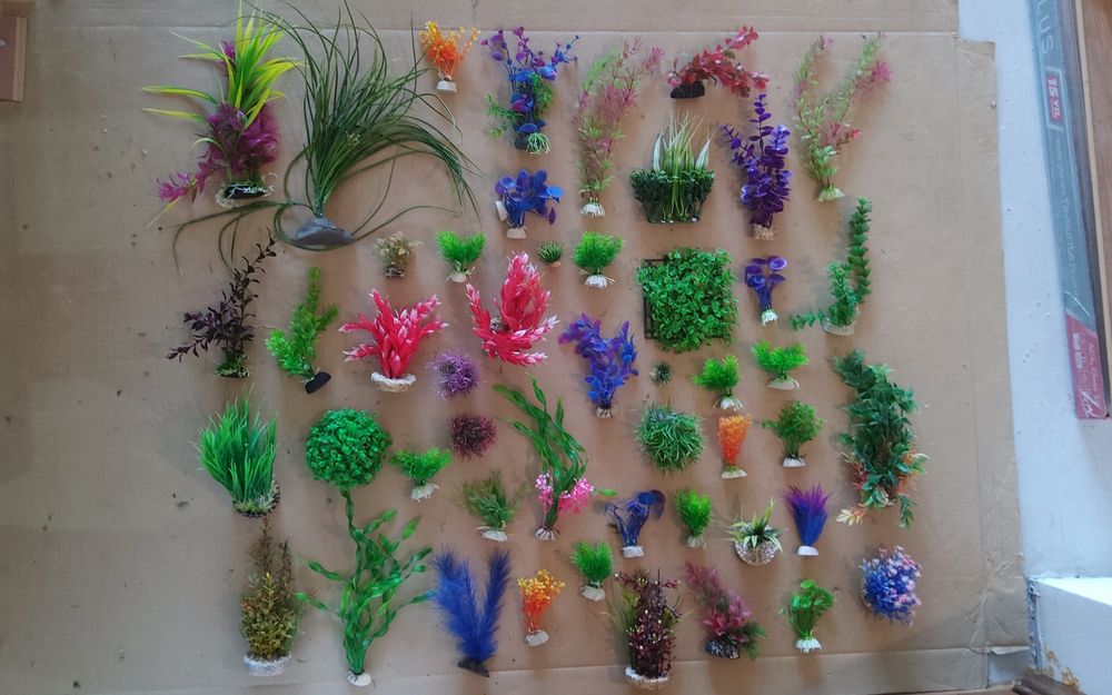 Plante pentru acvariu (200buc)