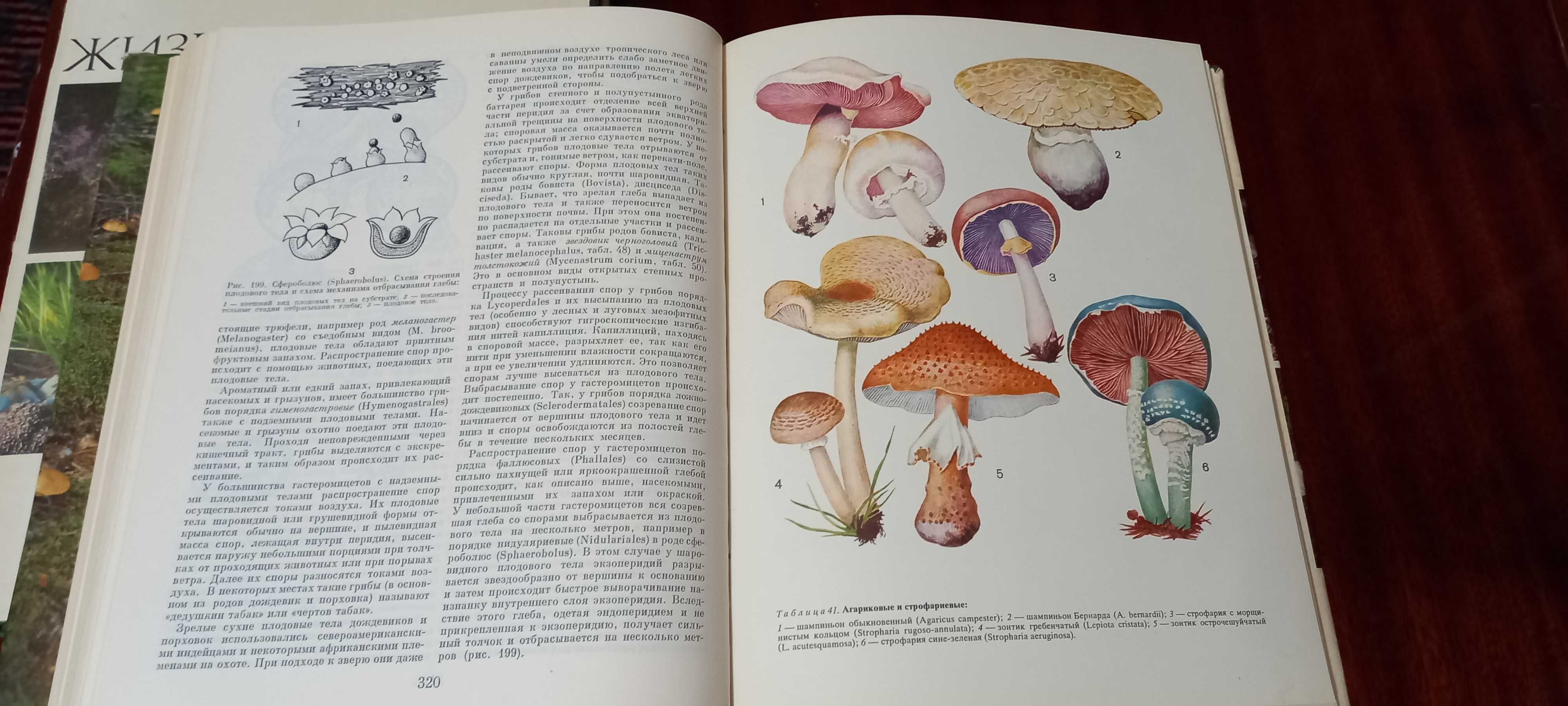 Серия книг "Мир растений" полный комплект - 6 книг. СССР.