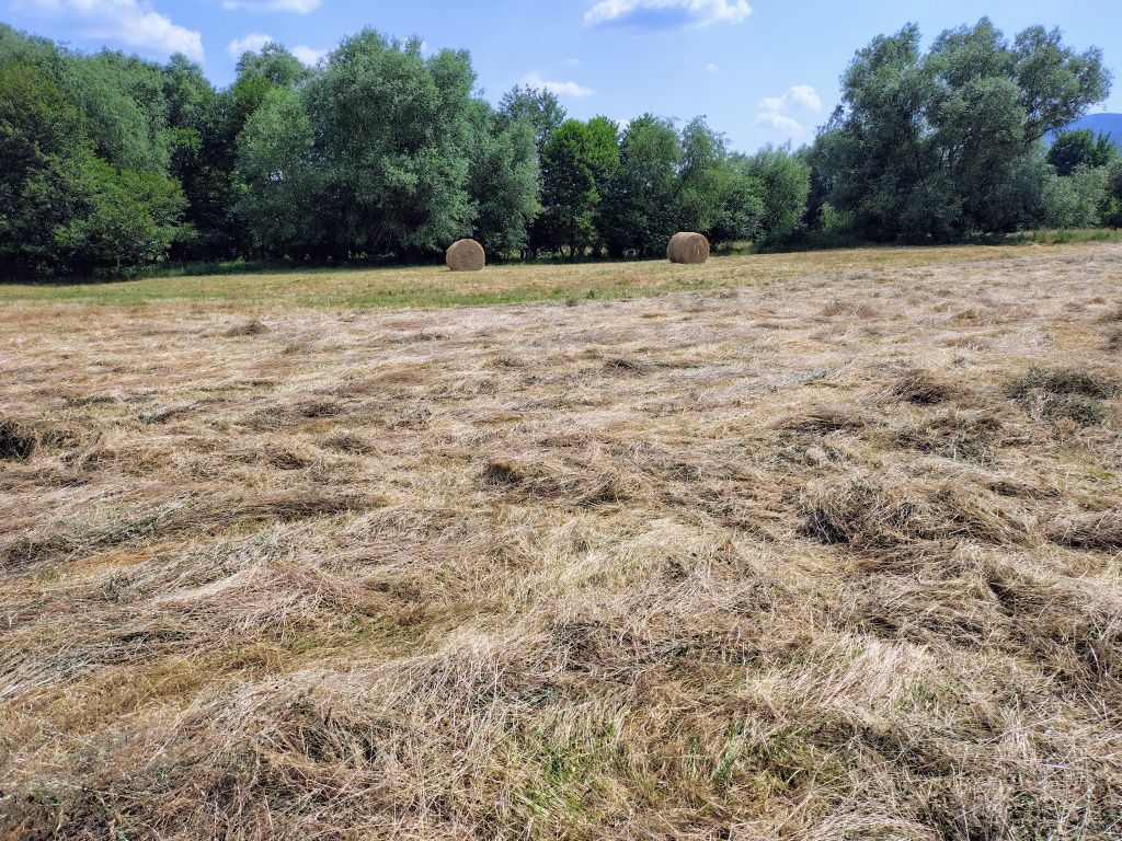 Продавам 1 дек ливада