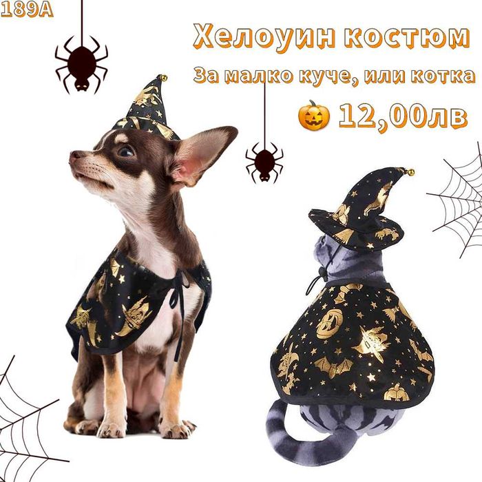 Хелоуински костюм за малко куче и котка. Хелоуин нагръдник за куче.