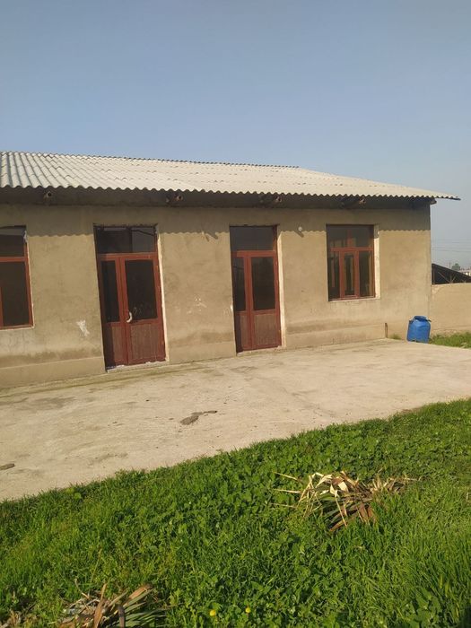 Noturar bino inshoot. Meva uchun 400 tonnalik muzlatkich bor