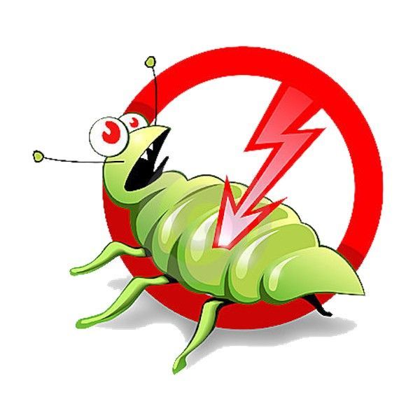 Dezinsectie Deratizare