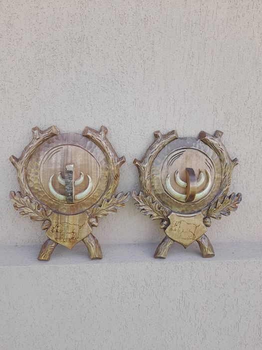 Panoplie sculptată mistreț!