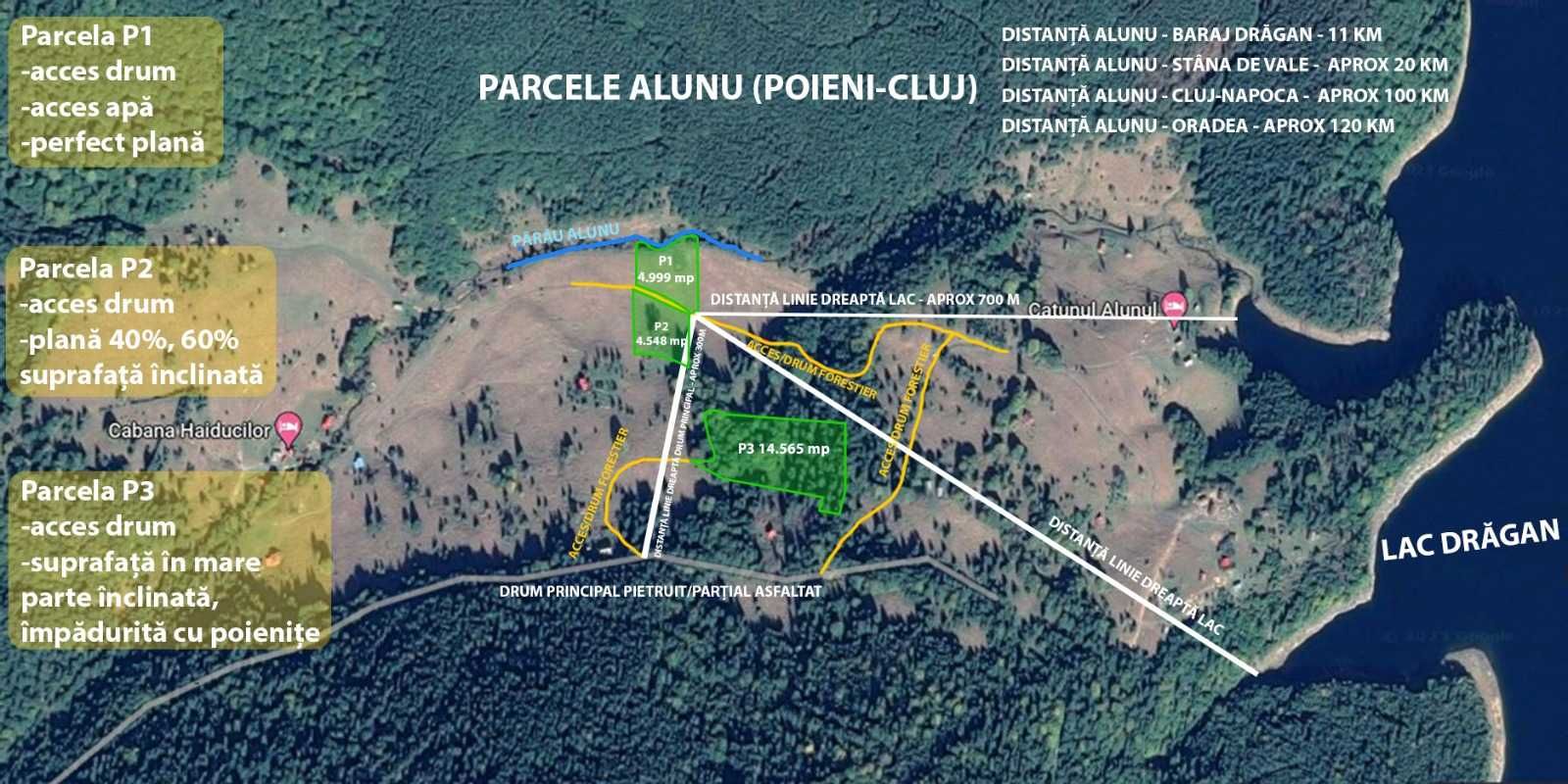 Vânzare teren la munte, Baraj Drăgan-Alunu-Apuseni , de la 9,5 E/mp