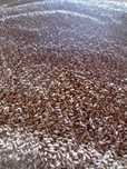 Tritricale producție 2025 preț 1.20 lei kg negociabil