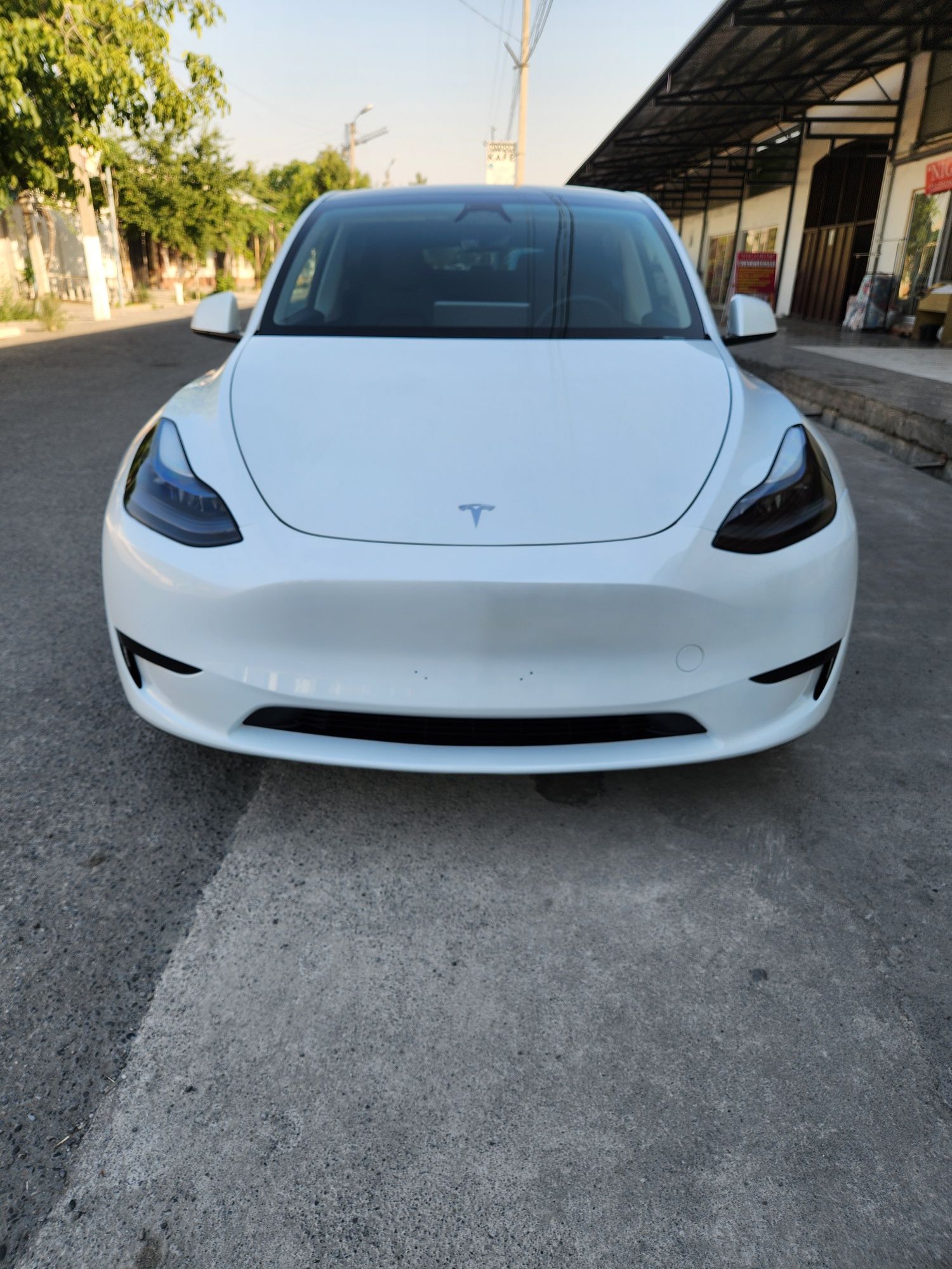 Tesla model Y RWD