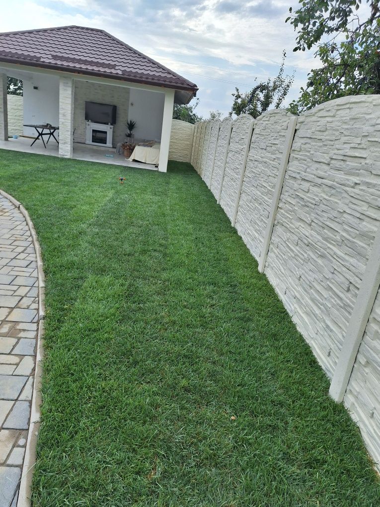 Amenajări grădini de la A la Z Gazon și plante ornamentale
