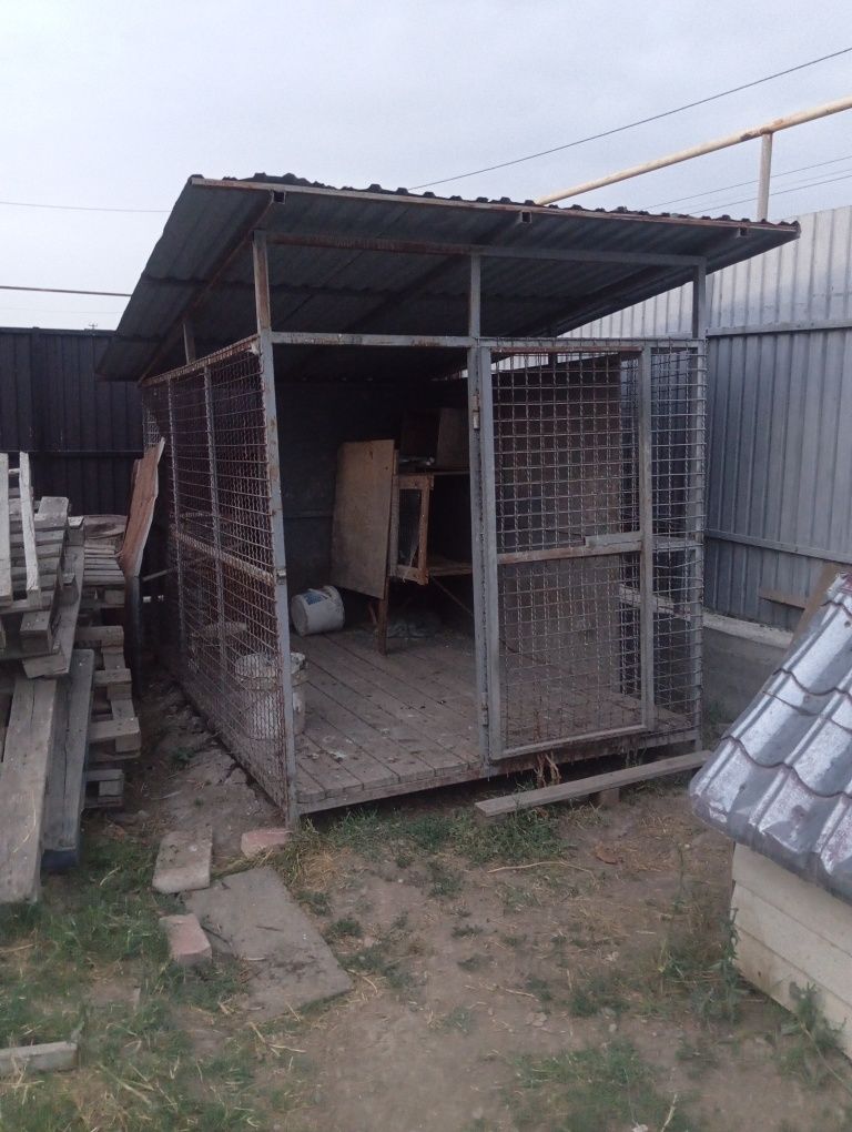 Продам вольер с собакой
