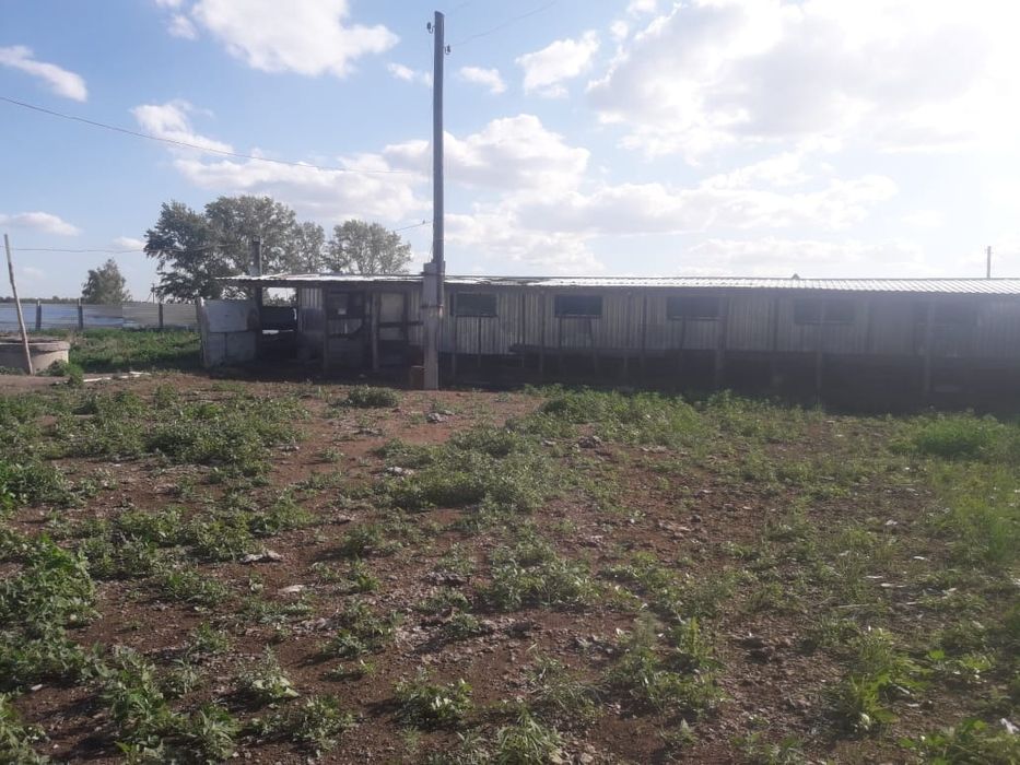 Продам мини базу под разведение КРС, МРС а так же птицы.