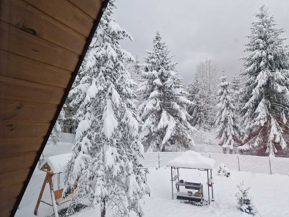 Cabana Armonia Naturii – poveste scrisă în lemn și liniște pentru tine