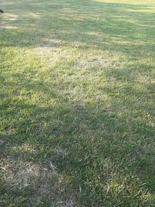 Teren agricol extravilan