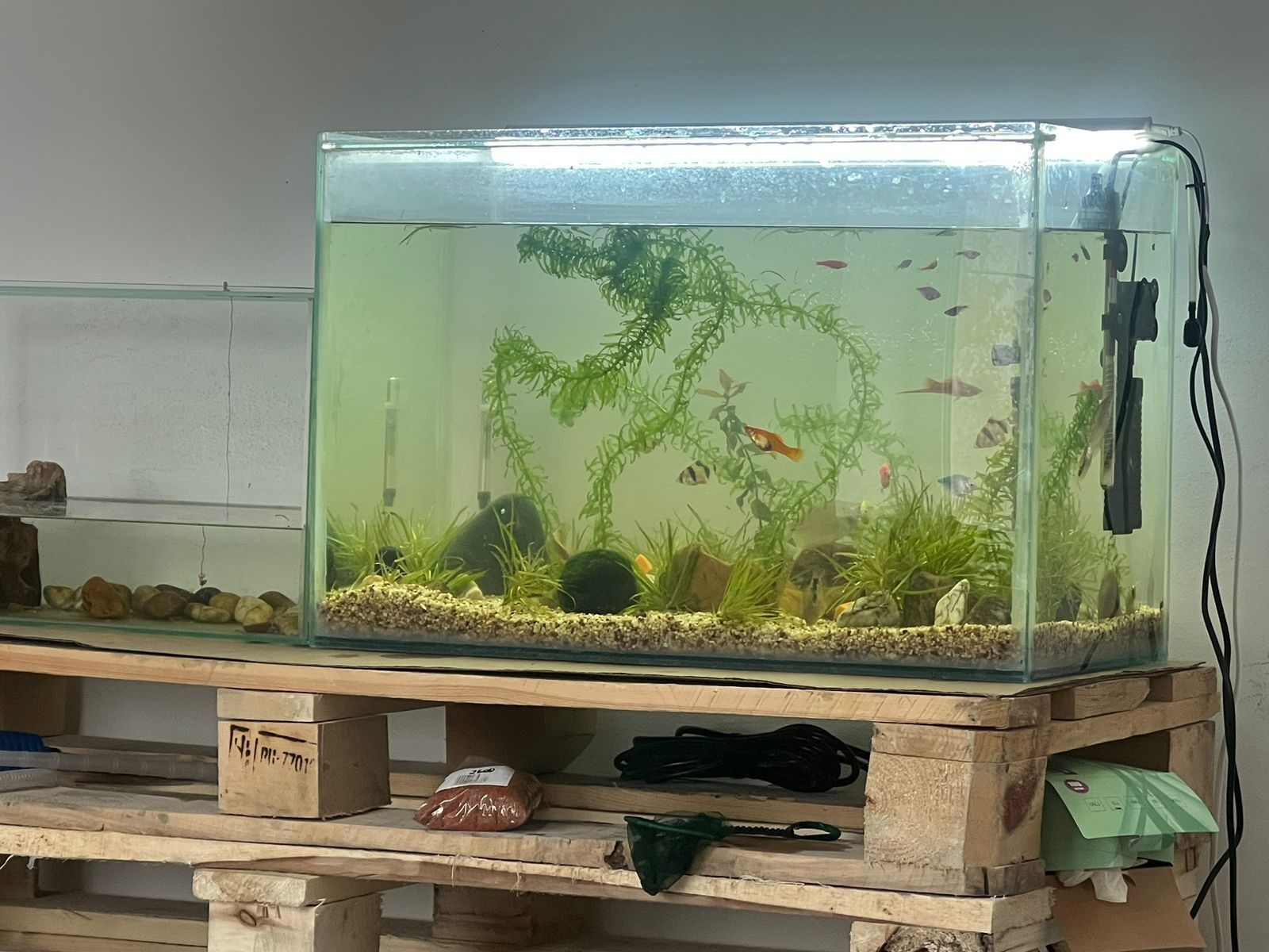 Продам аквариум без рыбок