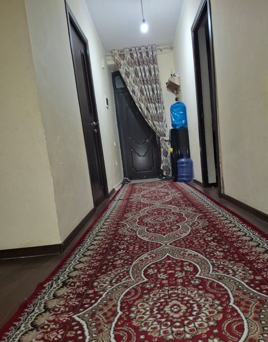 Kotej sotiladi 2sotix