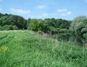 Очередь на землю 2005 года