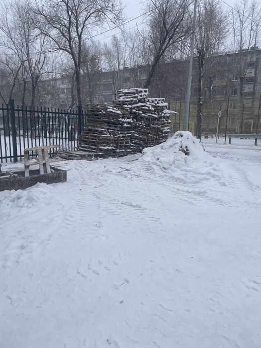 Поддоны разные 123455