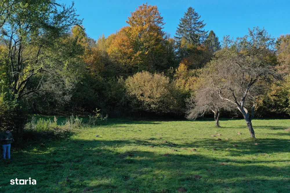 Teren intravilan | 1300 mp | de vanzare- Valea Avrigului