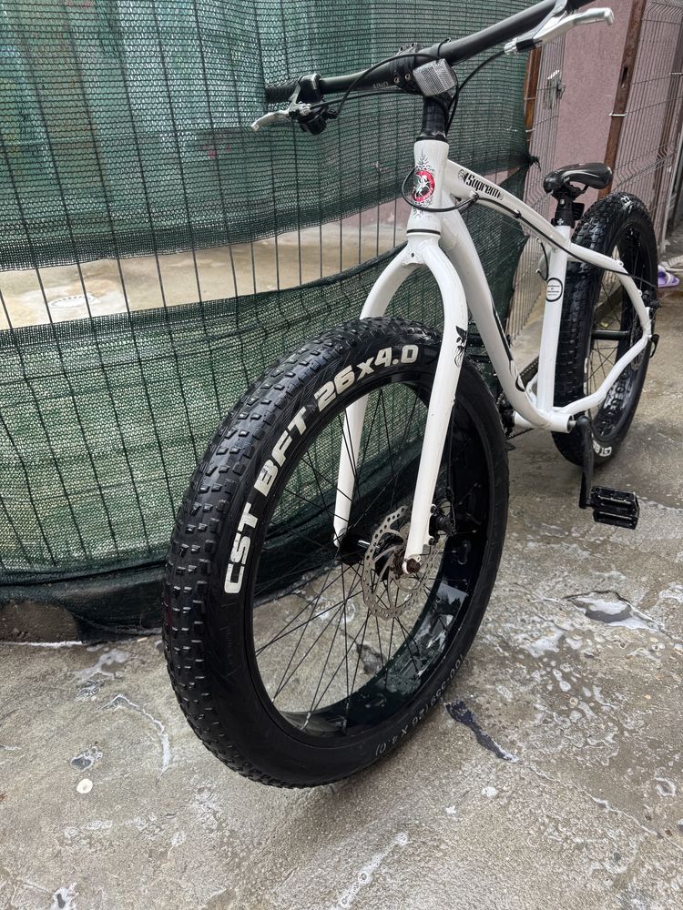 Fat Bike Pegasus