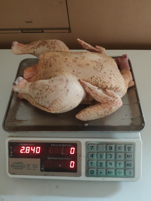 Продаётся мясо(тушка)домашнего трёхмесячного бройлерного цыплёнка.
