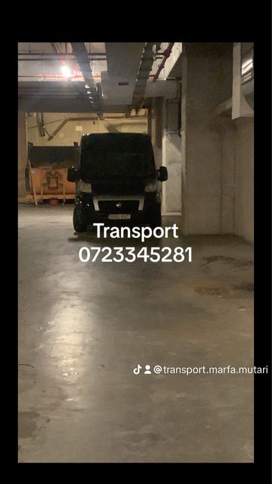 Transport marfa debarasari relocari firme mutari