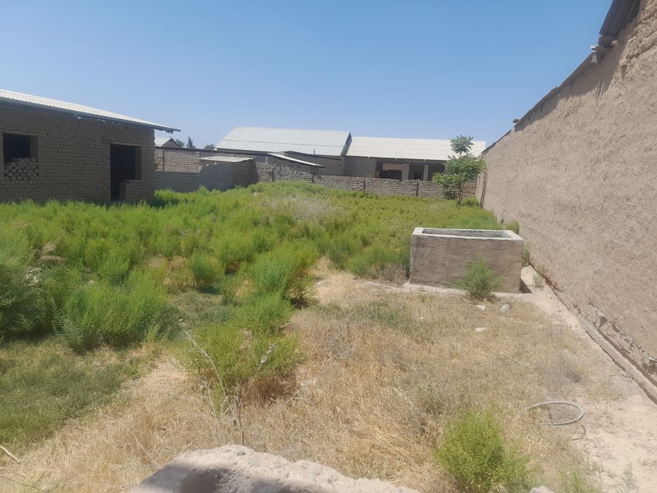 Shoyxuja gubdin 8sotix